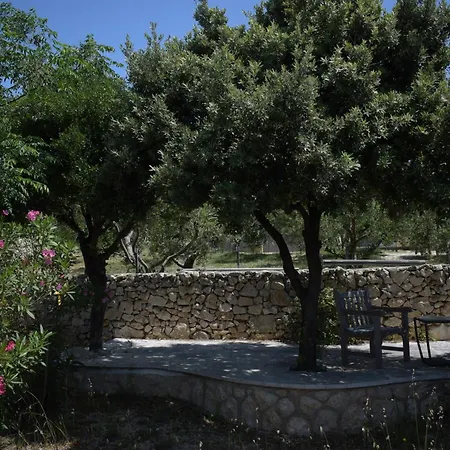 Star וילה *
